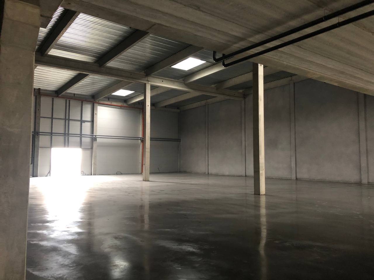 our project